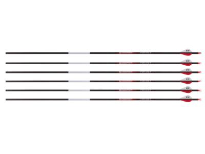 Bloodsport Punisher Arrow, 400 Spine, 6 Pack