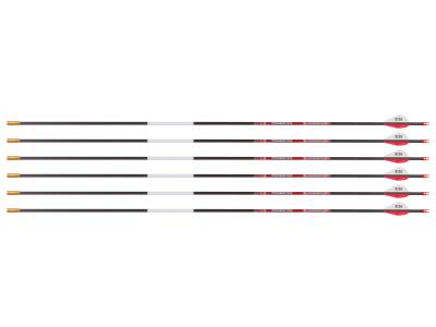 Bloodsport Prosecutor Arrow, 500 Spine, 6 Pack