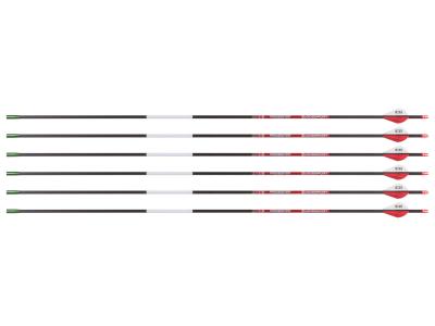 Bloodsport Prosecutor Arrow, 400 Spine, 6 Pack