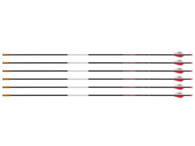Bloodsport Evidence Arrow, 500 Spine, 6 Pack