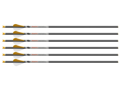 Ravin R500 Series Arrows, .001, 6 Pack
