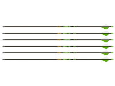Gold Tip Hunter 400 Spine Arrows, 6 Pack