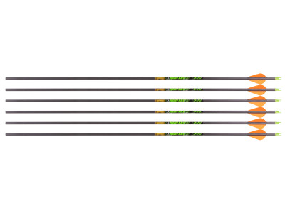 Gold Tip Hunter XT 500 Spine Arrows, 6 Pack