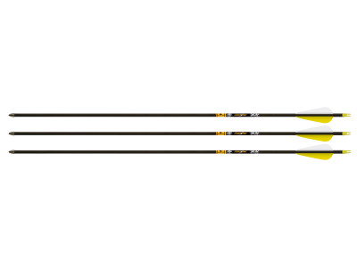 Gold Tip Lightning Youth 28" Arrows, 3 Pack