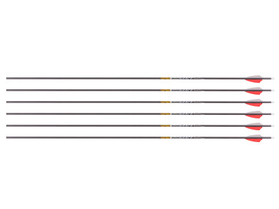 Gold Tip Pierce Platinum 340 Spine Arrows, 6 Pack