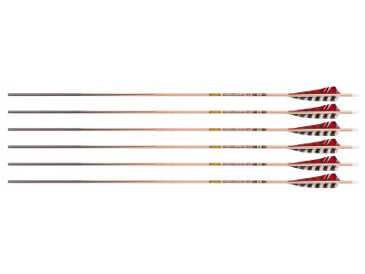 Gold Tip Traditional Classic XT 600 Spine Arrows, 6 Pack
