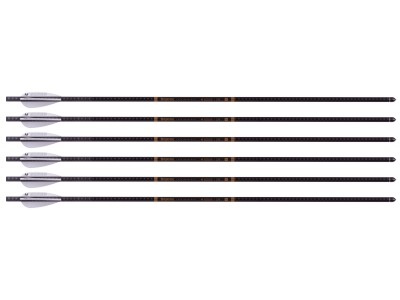 Benjamin M Series M600 Airbow Arrows, 6 pack