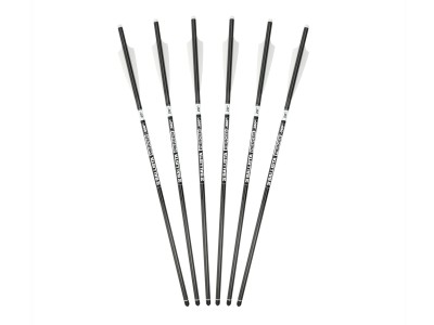 Ballista Piercer 20" 2-Vanes Crossbow Bolts for Megabat, 6 Pack