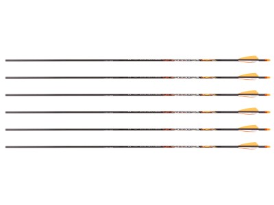 Black Eagle X Impact 250 Spine Arrows, 6 Pack