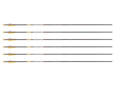 Black Eagle X Impact 400 Spine Arrows, 6 Pack