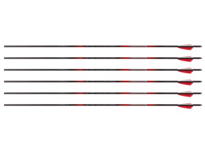 Black Eagle Carnivore 250 Spine Arrows, 6 Pack