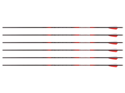 Black Eagle Carnivore 300 Spine Arrows, 6 Pack