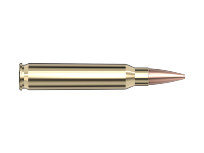 Hornady Superformance Match, .223 Remington, 20