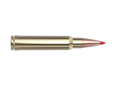Hornady Precision Hunter, .338 Winchester Magnum, 20