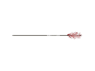 Gold Tip Twister FluFlu Arrows 500, 1 count