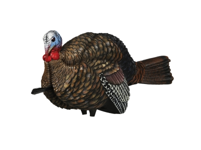 Avian-X LCD Jake Half Strut Collapsible Turkey Decoy
