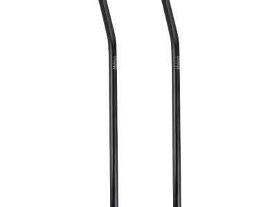 Explorer Bear Black Titanium 2-Piece Straw Set