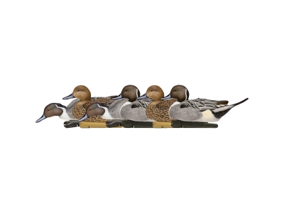 Avian-X Top Flight Duck Decoys Pintail 6 pk.