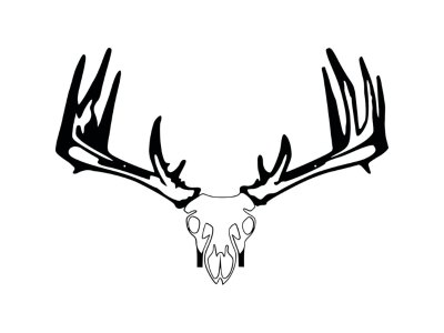 Raxx Crossbow Hanger Whitetail Skull, Black