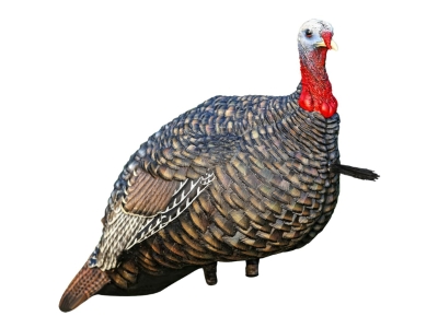 Avian-X Quarter Strut Jake Turkey Decoy