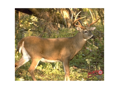 DuraMesh Archery Target