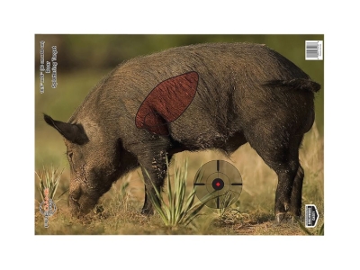 Birchwood  Pregame Boar Paper Target, 3