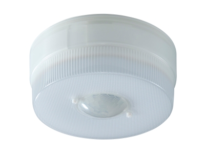 IQ America Battery Powered Motion Ceiling Light Indoor Outdoor