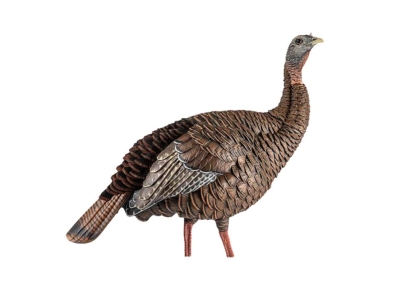 Avian-X Hen Turkey Decoy with Multiple Head Positions
