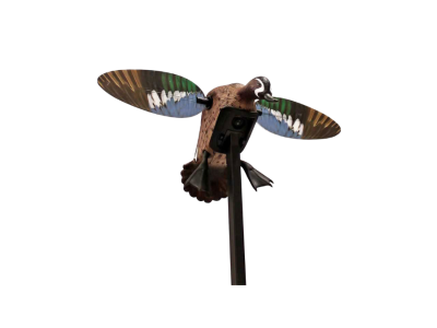 Mojo Outdoors Elite Series Blue Wing Teal Decoy