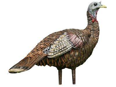 Avian-X LCD Lookout Hen Collapsible Turkey Decoy