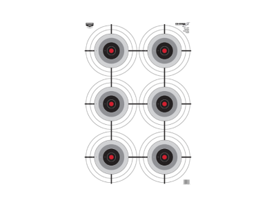Birchwood  EZE-Scorer 6-Bullseye Paper Target, 100