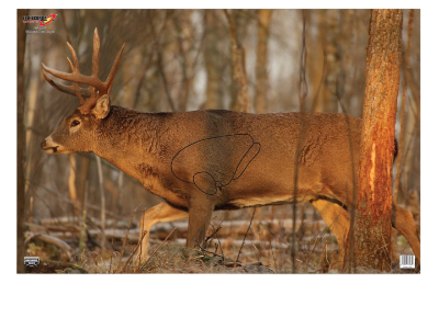 Birchwood  EZE-Scorer Whitetail Deer Paper Hanging 23" x 35"