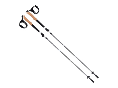 Allen Terrain Alpha Aluminum Trekking Poles