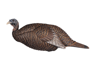 Flextone Turkey Decoy