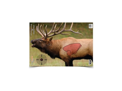 Birchwood  Shoot-N-C Pink Reactive Target 6-Pack