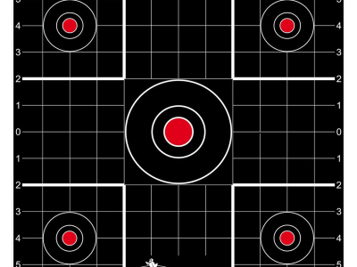 Birchwood  Dirty Bird Bullseye Tagboard Target, 100