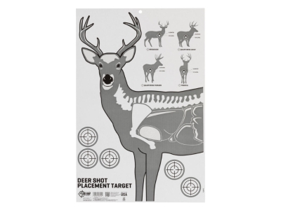 EZ Aim Deer Vitals Corrugated Target, White