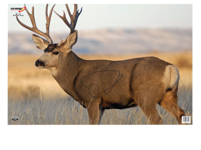 Birchwood  EZE-Scorer Mule Deer