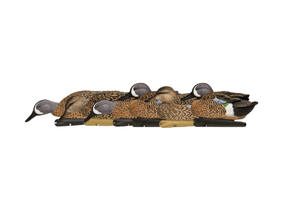 Avian-X Topflight Blue-Winged Teal Floating Decoy, 6 Pack