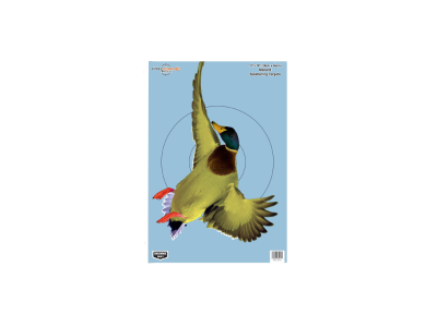 Birchwood  Pregame Duck Paper Hanging Rifle/Shotgun, 8