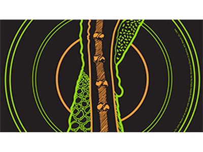 Primos VisiShot Turkey Hanging Paper, 10