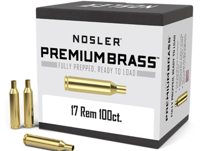 Nosler Premium Brass Unprimed Rifle Cases, .17 Remington, 100