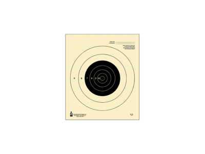 Action Target Inc 25-yard Competition NRA Slow Fire Bullseye Tagboard