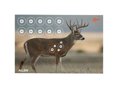 Allen EZ Aim Paper Shooting Targets, 2 count