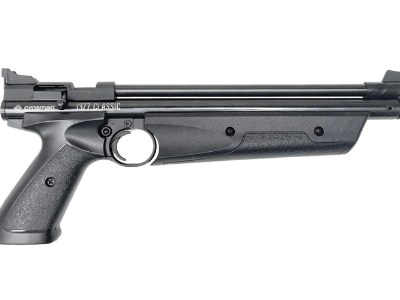 Buck Rail Crosman 1377/1322 Plumper Pumper