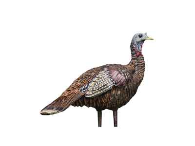 Avian-X LCD Lookout Hen Turkey Decoy