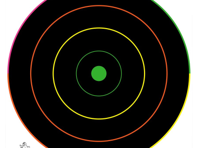 Birchwood  Dirty Bird Bullseye Tagboard Target, 100