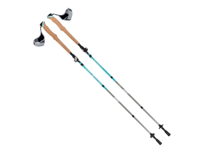 Allen Terrain Alpha Vertex Carbon Trekking Poles