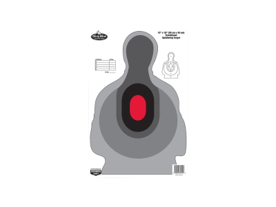 Birchwood  Dirty Bird Silhouette Target 12" x 18" 8 Per Pkg, Black/White