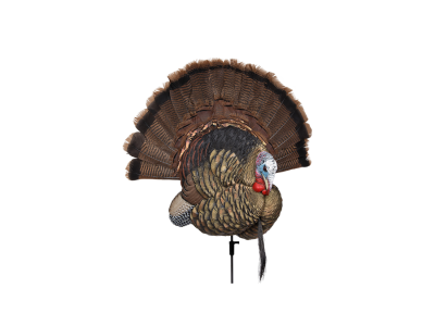 Avian-X Trophy Tom Turkey Decoy